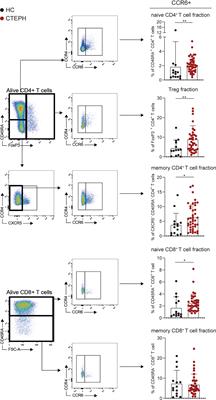 Evidence for a Role of CCR6+ T Cells in Chronic Thromboembolic Pulmonary Hypertension